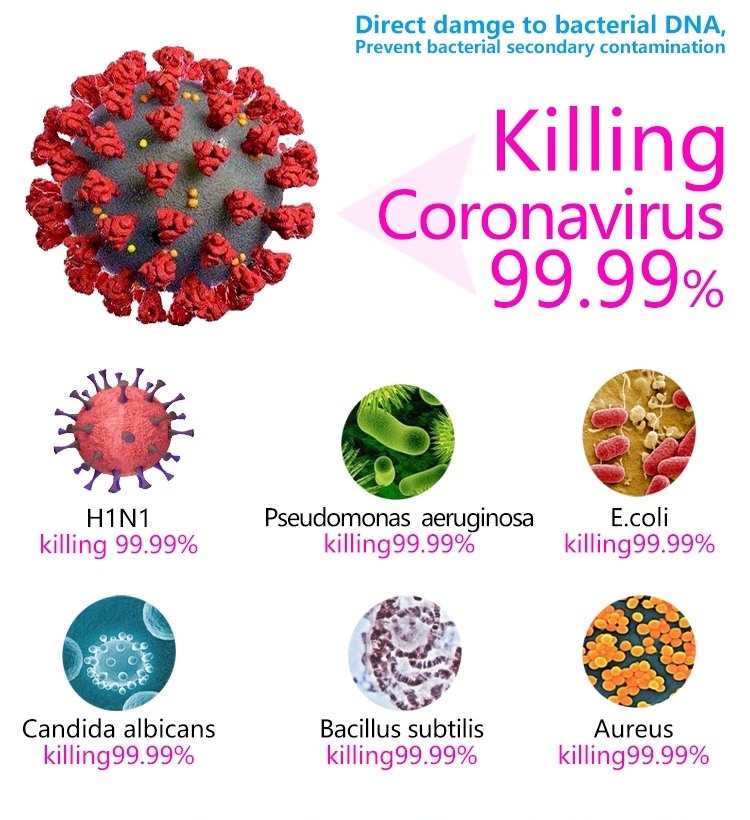 destrucción de bacterias y virus