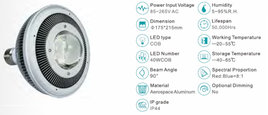 Planta de la lámpara LED